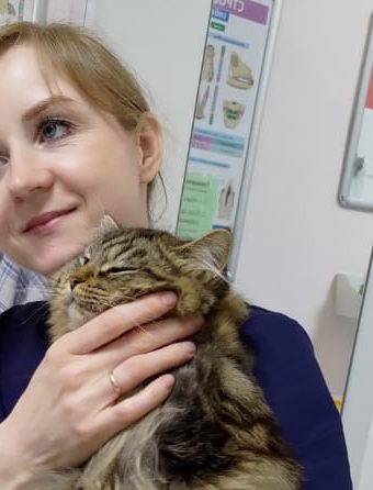 Врач клиники держит кота на руках